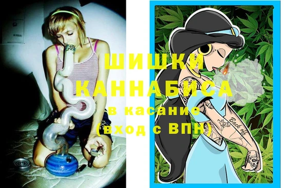 spice Володарск