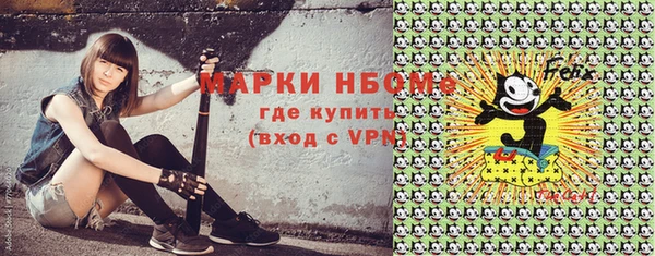 гашик Горнозаводск