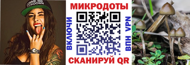 Псилоцибиновые грибы мухоморы закладка Заринск