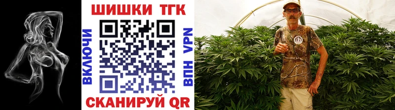 цена наркотик omg онион Каннабис семена Заринск